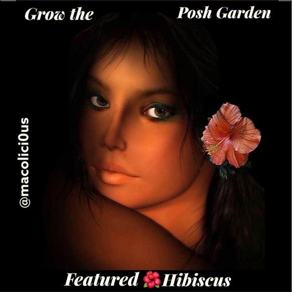 I’m Orchid 5/5-6 🥰 - Picture 3 of 5